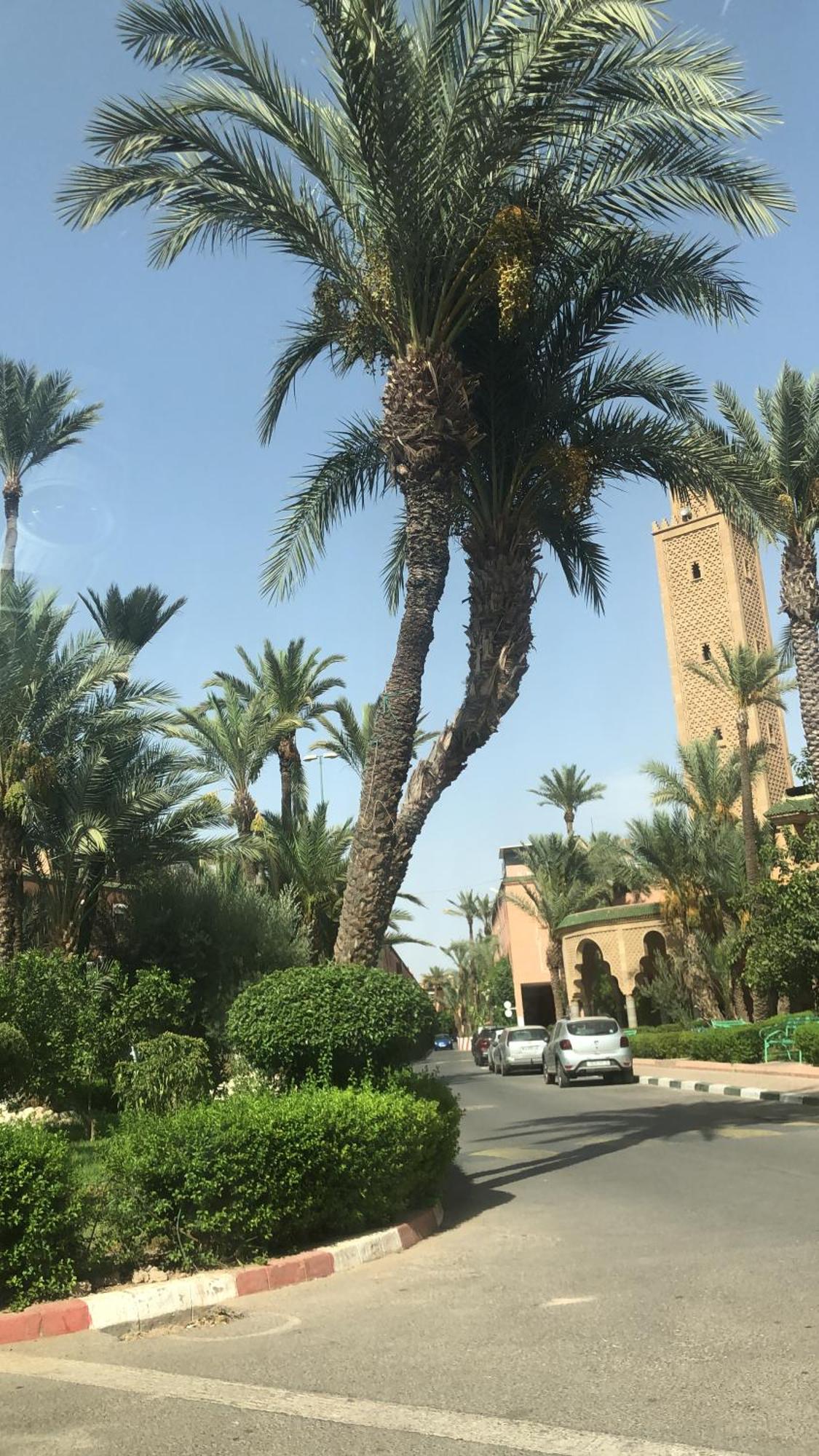 Riad Lyna Марракеш Экстерьер фото